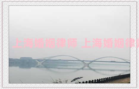 上海婚姻律师 上海婚姻律师咨询